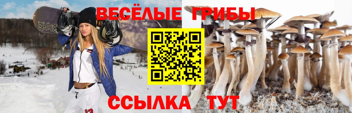 Псилоцибиновые грибы Magic Shrooms  Галлюциногенные грибы GOLDEN TEACHER  Вход с VPN  Гусь-Хрустальный 