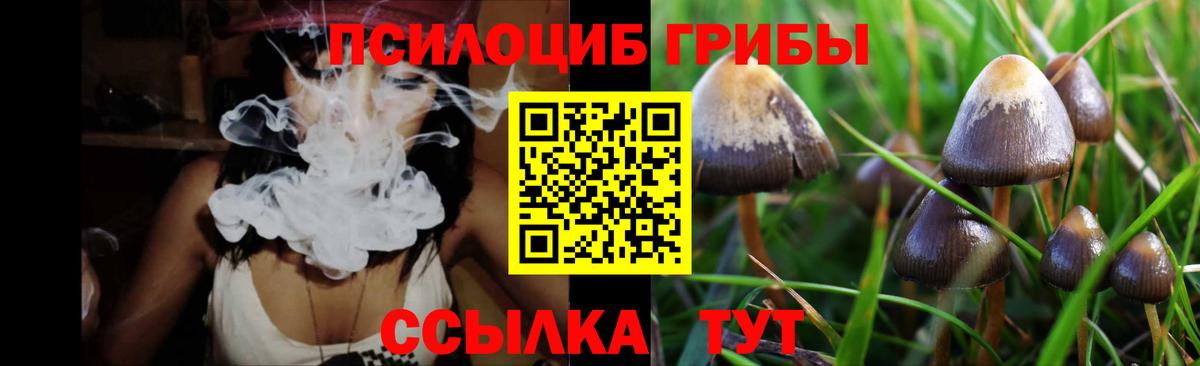 Галлюциногенные грибы мухоморы Гусь-Хрустальный